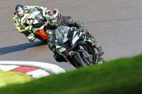 PJ-Motorsport-Photography-2020;anglesey;brands-hatch;cadwell-park;croft;donington-park;enduro-digital-images;event-digital-images;eventdigitalimages;mallory;no-limits;oulton-park;peter-wileman-photography;racing-digital-images;silverstone;snetterton;trackday-digital-images;trackday-photos;vmcc-banbury-run;welsh-2-day-enduro